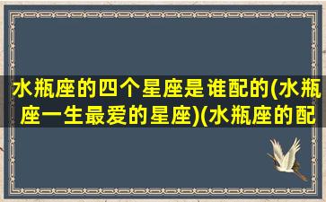水瓶座的四个星座是谁配的(水瓶座一生最爱的星座)(水瓶座的配偶星座排行)