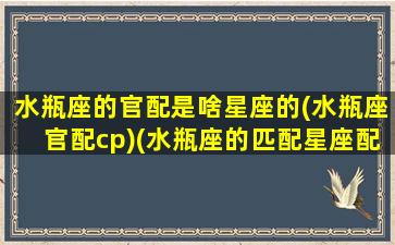 水瓶座的官配是啥星座的(水瓶座官配cp)(水瓶座的匹配星座配对)