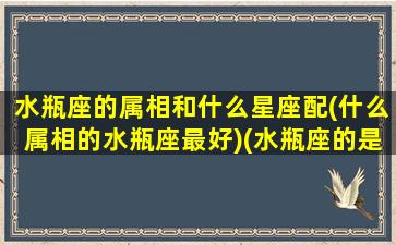 水瓶座的属相和什么星座配(什么属相的水瓶座最好)(水瓶座的是什么星座配对)