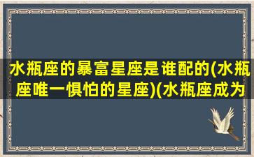 水瓶座的暴富星座是谁配的(水瓶座唯一惧怕的星座)(水瓶座成为富豪的概率)