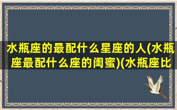 水瓶座的最配什么星座的人(水瓶座最配什么座的闺蜜)(水瓶座比较配什么星座)