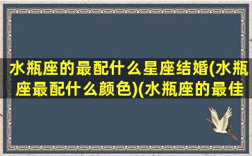 水瓶座的最配什么星座结婚(水瓶座最配什么颜色)(水瓶座的最佳婚配星座)