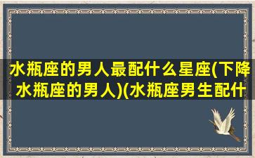 水瓶座的男人最配什么星座(下降水瓶座的男人)(水瓶座男生配什么星座最好)