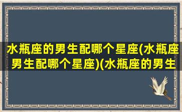 水瓶座的男生配哪个星座(水瓶座男生配哪个星座)(水瓶座的男生最配什么星座的女生)