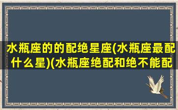 水瓶座的的配绝星座(水瓶座最配什么星)(水瓶座绝配和绝不能配)