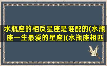 水瓶座的相反星座是谁配的(水瓶座一生最爱的星座)(水瓶座相匹配的星座)