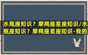 水瓶座知识？摩羯座星座知识/水瓶座知识？摩羯座星座知识-我的网站(水瓶座摩羯座配对指数)