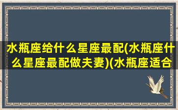 水瓶座给什么星座最配(水瓶座什么星座最配做夫妻)(水瓶座适合的星座配对)