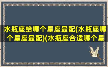 水瓶座给哪个星座最配(水瓶座哪个星座最配)(水瓶座合适哪个星座)