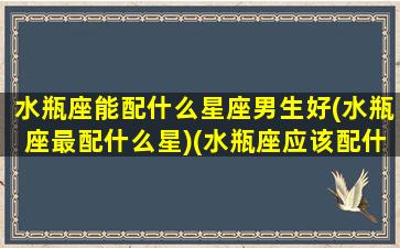 水瓶座能配什么星座男生好(水瓶座最配什么星)(水瓶座应该配什么星座)