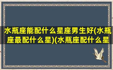 水瓶座能配什么星座男生好(水瓶座最配什么星)(水瓶座配什么星座的男朋友)