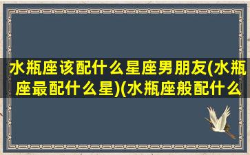 水瓶座该配什么星座男朋友(水瓶座最配什么星)(水瓶座般配什么座)