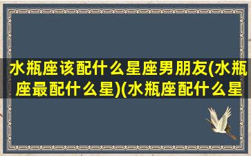 水瓶座该配什么星座男朋友(水瓶座最配什么星)(水瓶座配什么星座的男生)