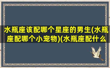 水瓶座该配哪个星座的男生(水瓶座配哪个小宠物)(水瓶座配什么座的男生)