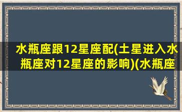 水瓶座跟12星座配(土星进入水瓶座对12星座的影响)(水瓶座和12星座配对罗盘)