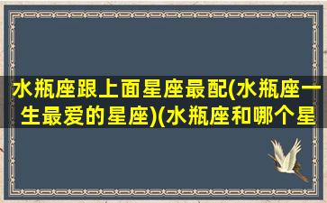 水瓶座跟上面星座最配(水瓶座一生最爱的星座)(水瓶座和哪个星座挨着)