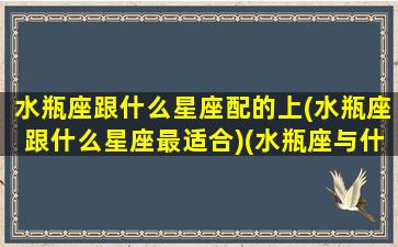 水瓶座跟什么星座配的上(水瓶座跟什么星座最适合)(水瓶座与什么星座配对最好)