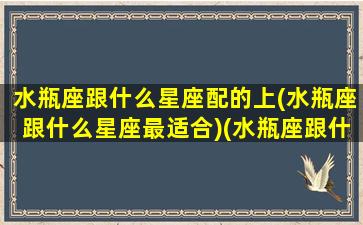 水瓶座跟什么星座配的上(水瓶座跟什么星座最适合)(水瓶座跟什么星座搭配)