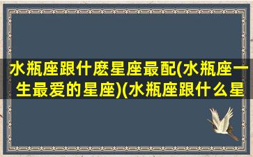 水瓶座跟什麽星座最配(水瓶座一生最爱的星座)(水瓶座跟什么星座配最好)