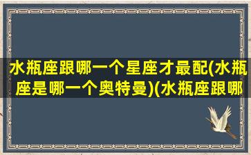 水瓶座跟哪一个星座才最配(水瓶座是哪一个奥特曼)(水瓶座跟哪个星座最配了)