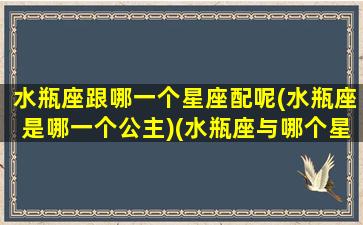 水瓶座跟哪一个星座配呢(水瓶座是哪一个公主)(水瓶座与哪个星座配)