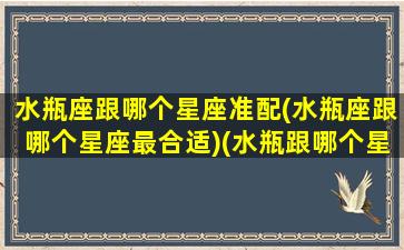 水瓶座跟哪个星座准配(水瓶座跟哪个星座最合适)(水瓶跟哪个星座最般配)