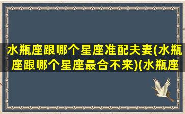 水瓶座跟哪个星座准配夫妻(水瓶座跟哪个星座最合不来)(水瓶座跟什么星座最配做夫妻)