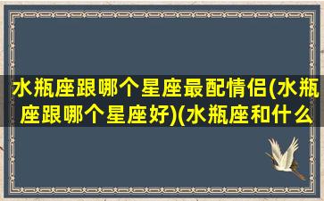 水瓶座跟哪个星座最配情侣(水瓶座跟哪个星座好)(水瓶座和什么星座是最佳情侣)