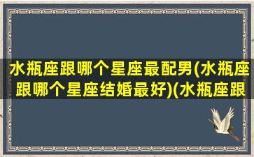 水瓶座跟哪个星座最配男(水瓶座跟哪个星座结婚最好)(水瓶座跟哪个星座比较合适)