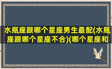 水瓶座跟哪个星座男生最配(水瓶座跟哪个星座不合)(哪个星座和水瓶男最配)