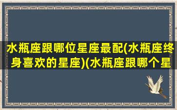 水瓶座跟哪位星座最配(水瓶座终身喜欢的星座)(水瓶座跟哪个星座最相配)