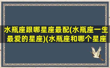 水瓶座跟哪星座最配(水瓶座一生最爱的星座)(水瓶座和哪个星座最相配)
