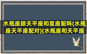 水瓶座跟天平座和星座配吗(水瓶座天平座配对)(水瓶座和天平座的配对指数)