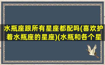水瓶座跟所有星座都配吗(喜欢护着水瓶座的星座)(水瓶和各个星座关系)