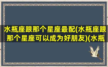 水瓶座跟那个星座最配(水瓶座跟那个星座可以成为好朋友)(水瓶座跟哪个星座更配)