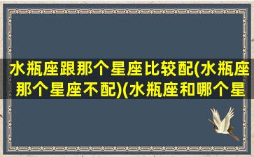 水瓶座跟那个星座比较配(水瓶座那个星座不配)(水瓶座和哪个星座比较般配)