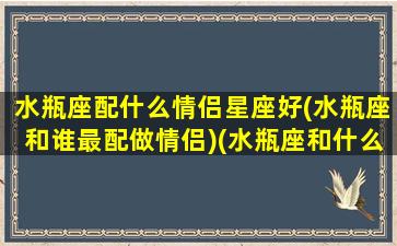 水瓶座配什么情侣星座好(水瓶座和谁最配做情侣)(水瓶座和什么星座适合做情侣)