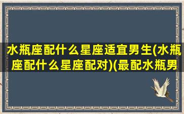 水瓶座配什么星座适宜男生(水瓶座配什么星座配对)(最配水瓶男的星座)