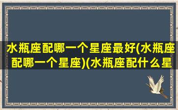 水瓶座配哪一个星座最好(水瓶座配哪一个星座)(水瓶座配什么星座)