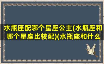 水瓶座配哪个星座公主(水瓶座和哪个星座比较配)(水瓶座和什么星座最佳配偶)