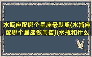 水瓶座配哪个星座最默契(水瓶座配哪个星座做闺蜜)(水瓶和什么星座最配闺蜜)