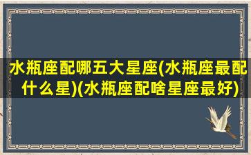 水瓶座配哪五大星座(水瓶座最配什么星)(水瓶座配啥星座最好)