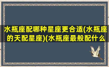 水瓶座配哪种星座更合适(水瓶座的天配星座)(水瓶座最般配什么星座)