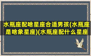 水瓶座配啥星座合适男孩(水瓶座是啥象星座)(水瓶座配什么星座女生)