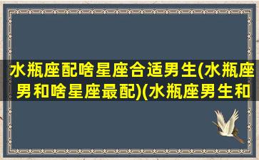 水瓶座配啥星座合适男生(水瓶座男和啥星座最配)(水瓶座男生和什么星座最配对)