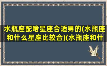 水瓶座配啥星座合适男的(水瓶座和什么星座比较合)(水瓶座和什么星座最配做男朋友)