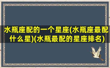 水瓶座配的一个星座(水瓶座最配什么星)(水瓶最配的星座排名)