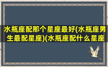 水瓶座配那个星座最好(水瓶座男生最配星座)(水瓶座配什么星座男)