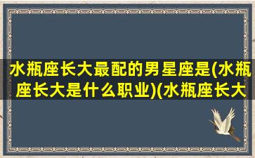 水瓶座长大最配的男星座是(水瓶座长大是什么职业)(水瓶座长大了最合适什么工作)