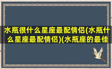 水瓶很什么星座最配情侣(水瓶什么星座最配情侣)(水瓶座的最佳情侣星座)